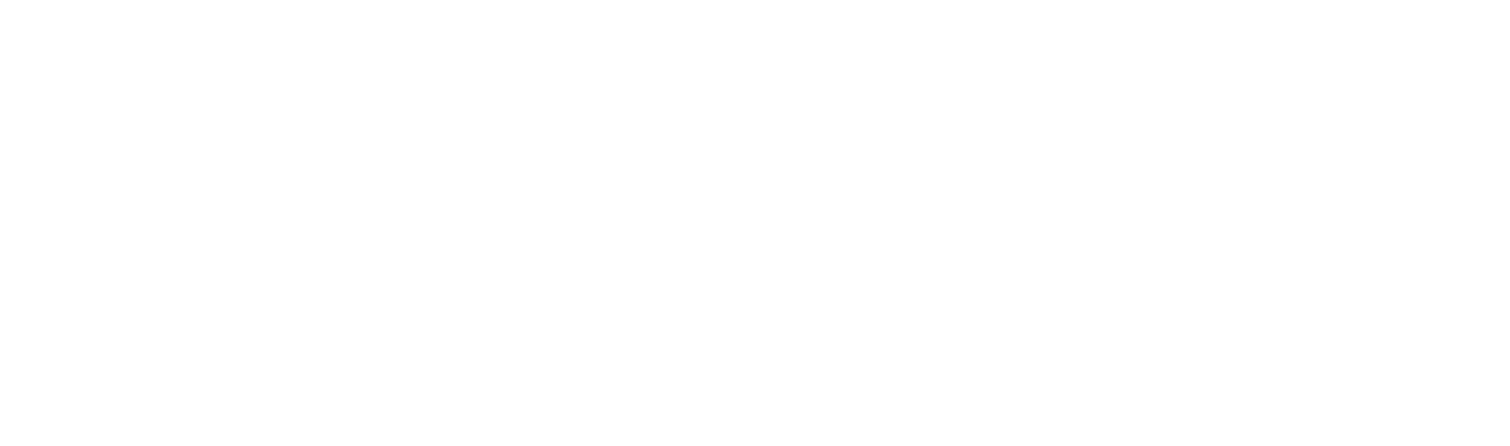 Lizinvest
