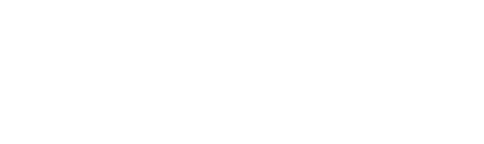 Lizinvest